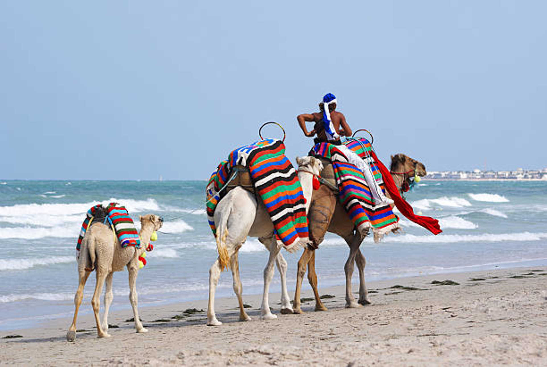 Descubra Djerba: Sol, Cultura e Praia