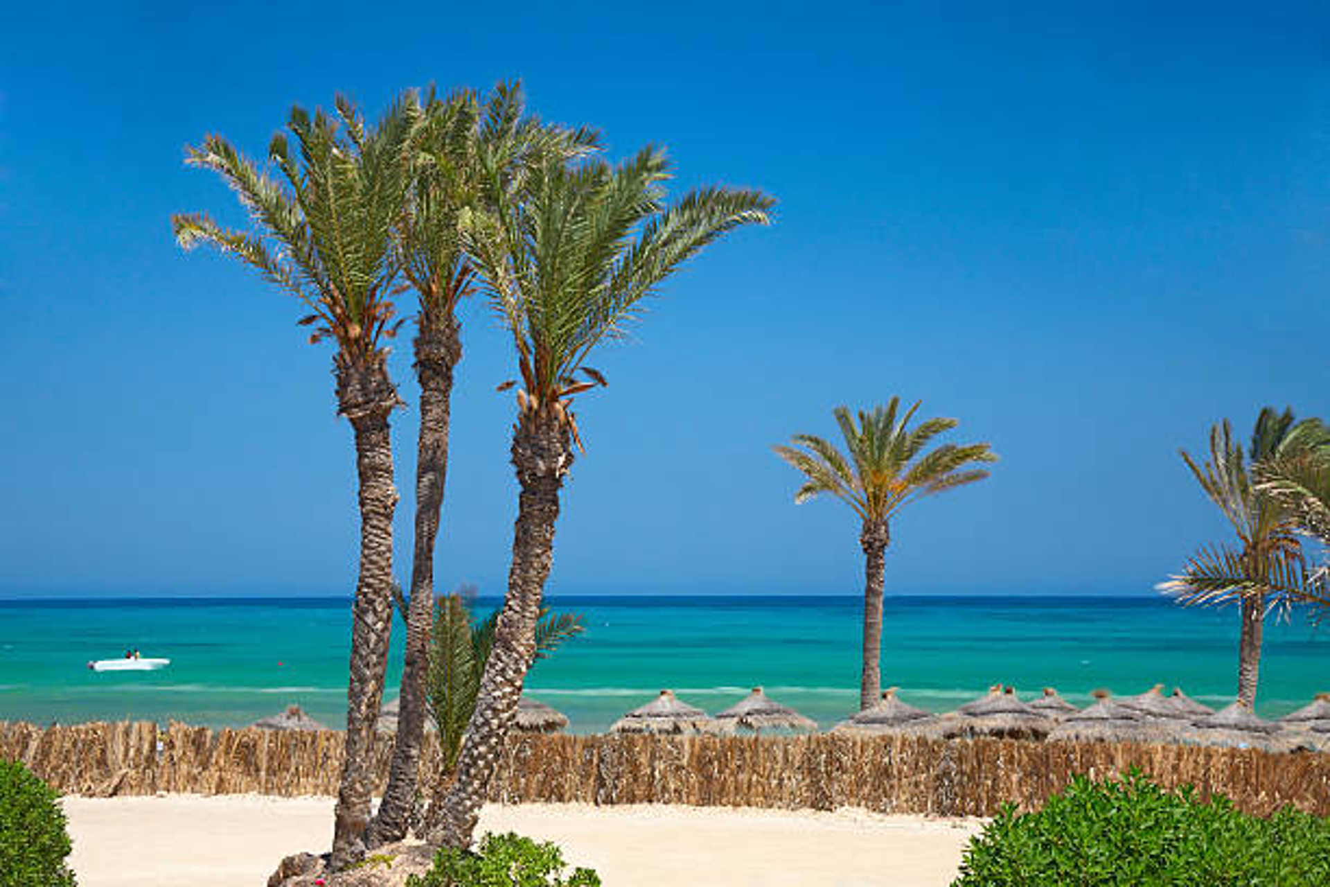 Descubra Djerba: Sol, Cultura e Praia