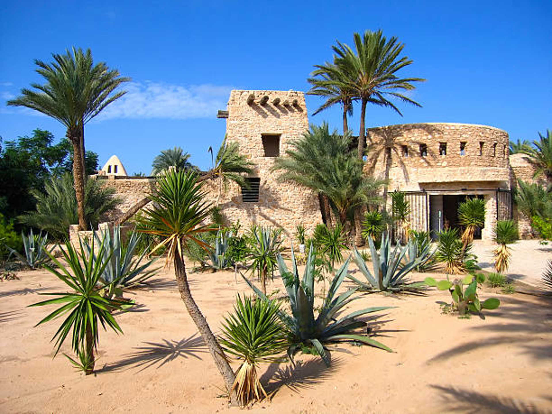 Descubra Djerba: Sol, Cultura e Praia