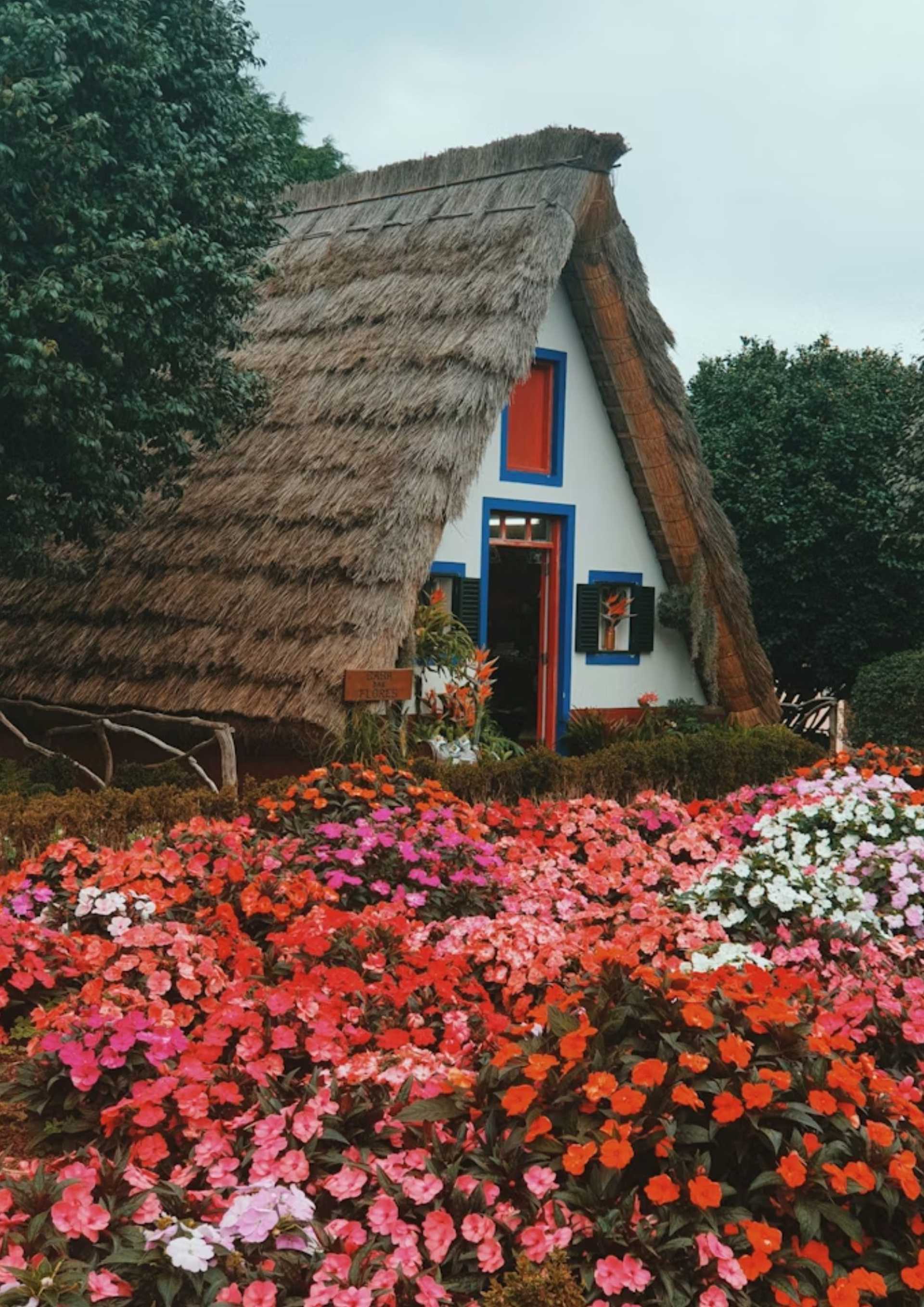 Madeira: Entre a natureza, a cultura e a gastronomia 