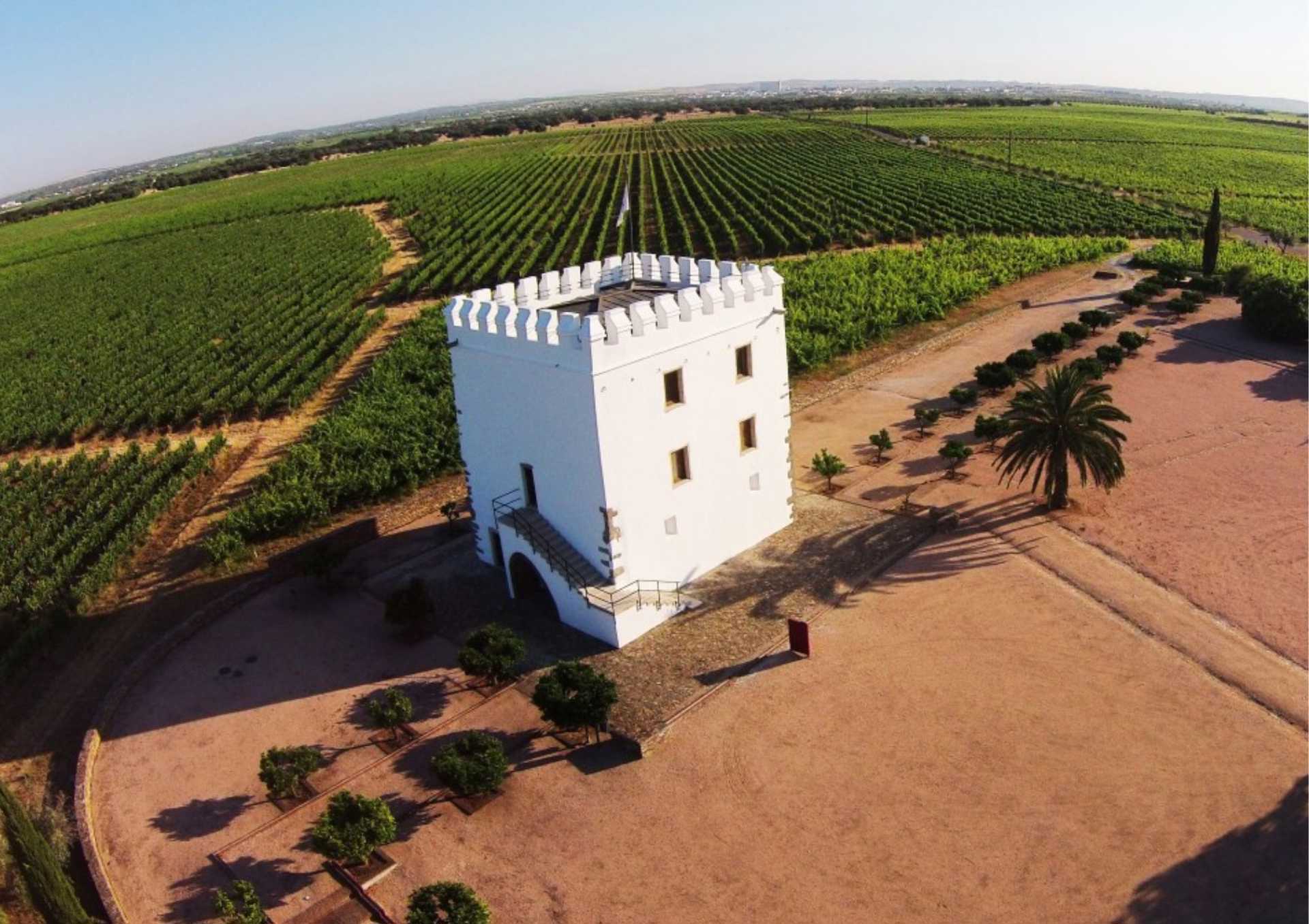 Alentejo de Tradição, História e Sabores