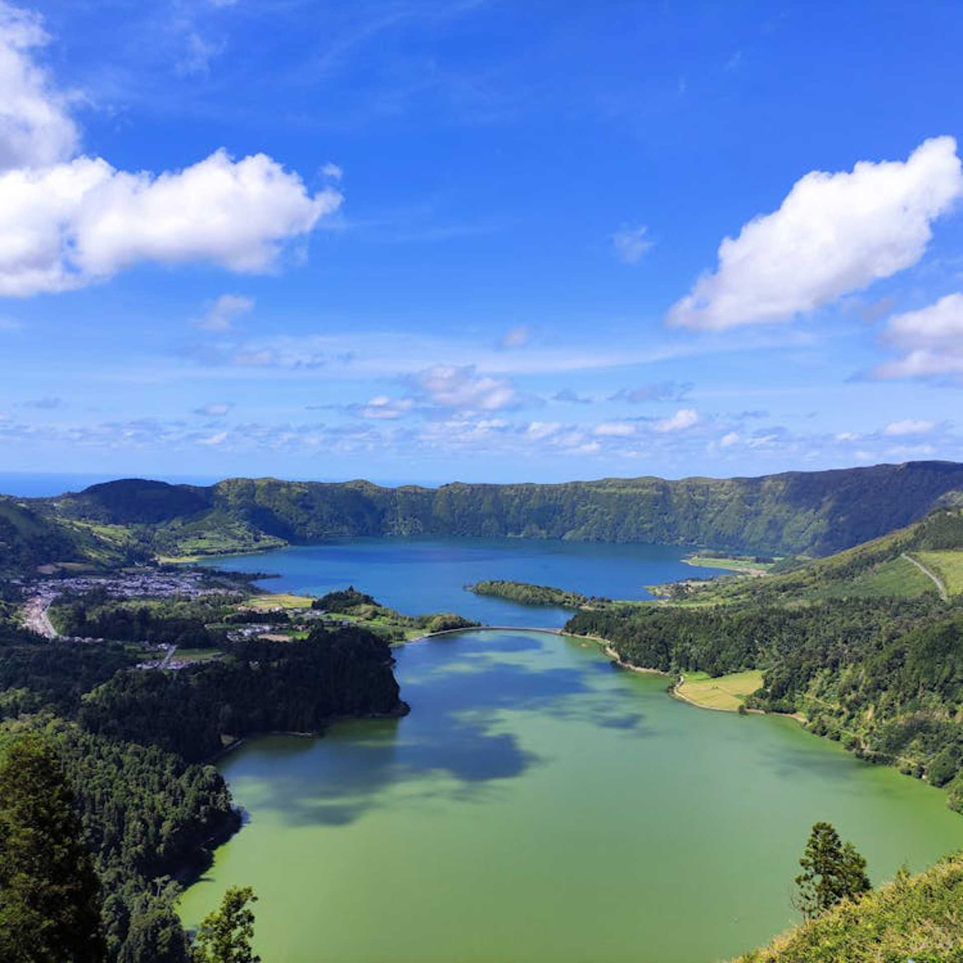 Rota das Camélias em São Miguel