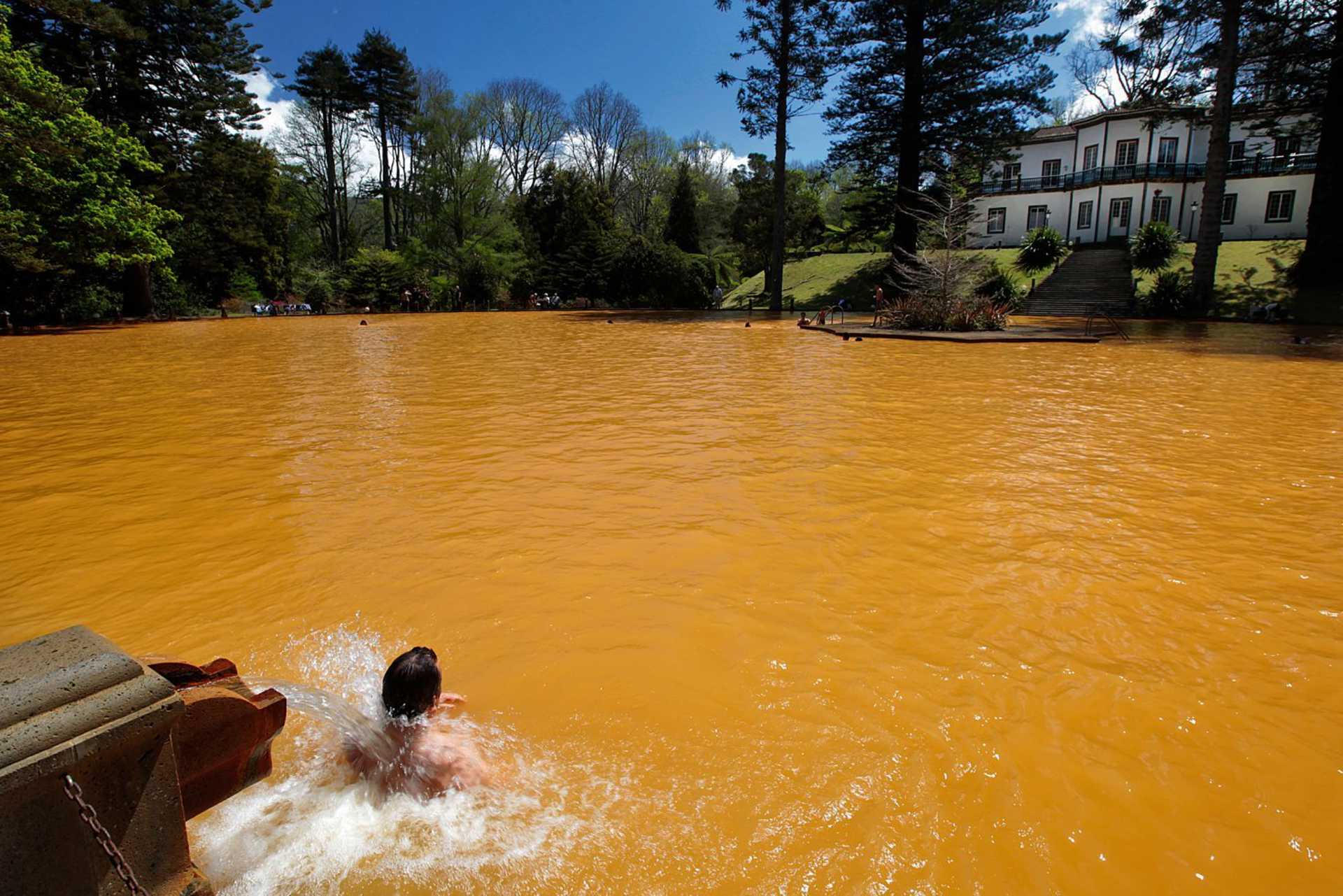 Rota das Camélias em São Miguel