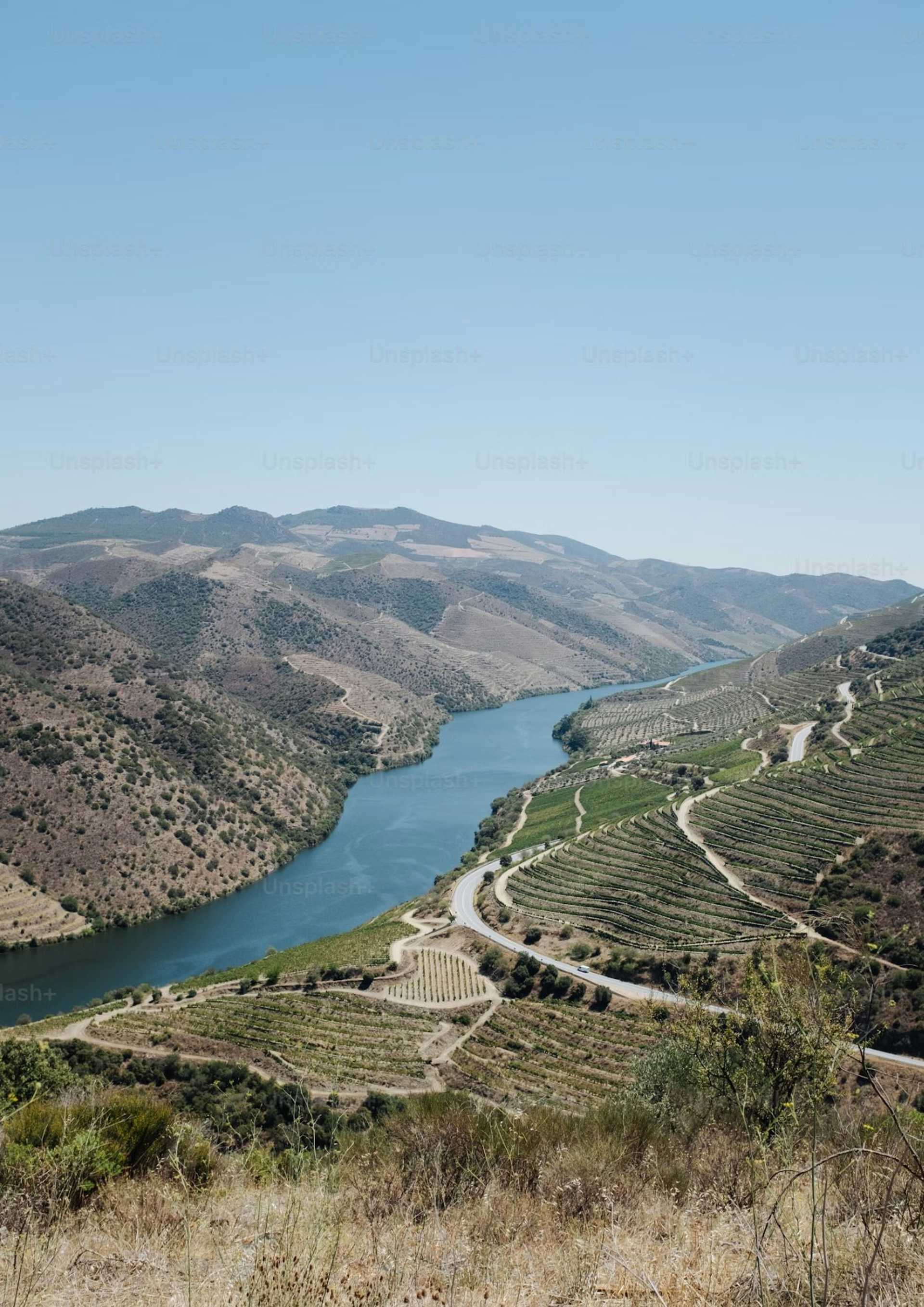 Maravilhas do Porto e Cruzeiro pelo Douro