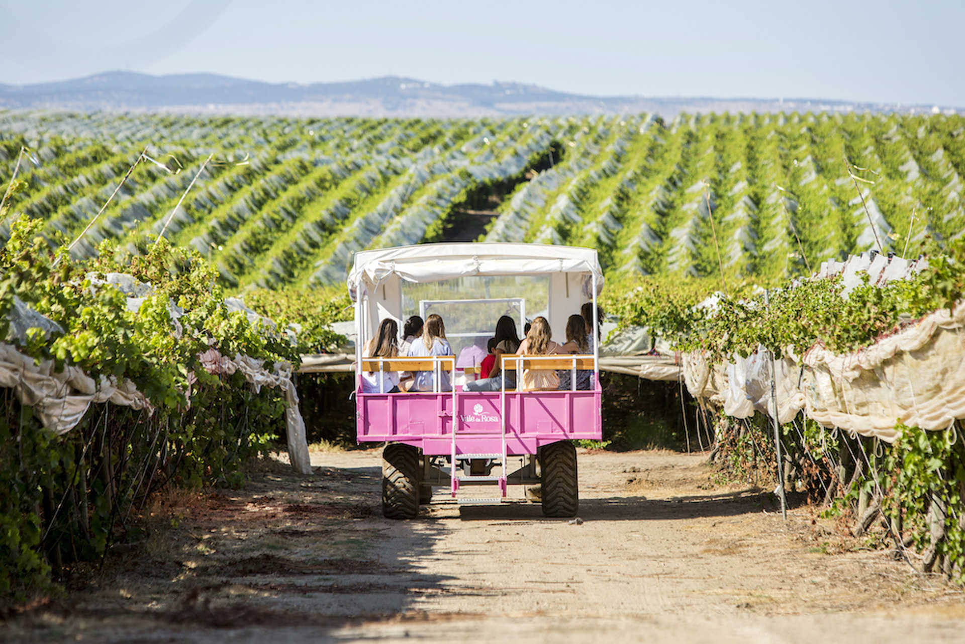 Herdade Vale da Rosa e Viana do Alentejo